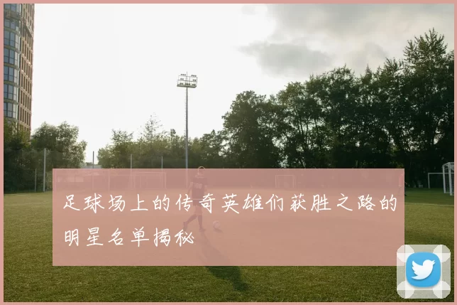 足球场上的传奇英雄们获胜之路的明星名单揭秘