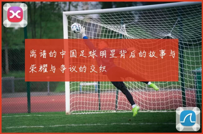 离谱的中国足球明星背后的故事与荣耀与争议的交织