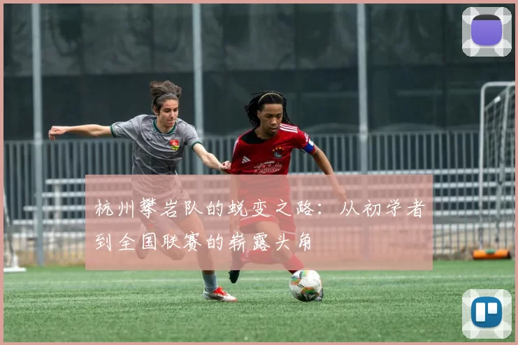 杭州攀岩队的蜕变之路：从初学者到全国联赛的崭露头角