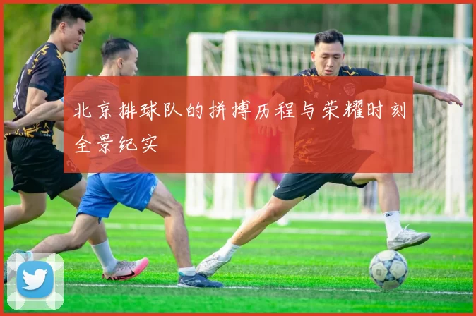 北京排球队的拼搏历程与荣耀时刻全景纪实