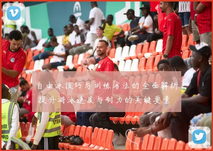 自由泳技巧与训练方法的全面解析 提升游泳速度与耐力的关键要素