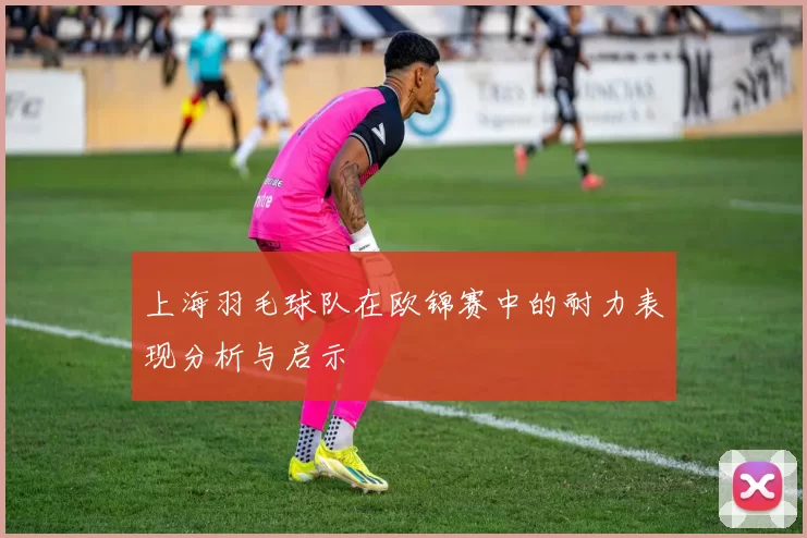 上海羽毛球队在欧锦赛中的耐力表现分析与启示