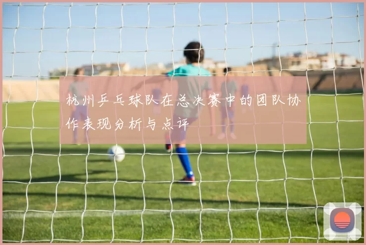 杭州乒乓球队在总决赛中的团队协作表现分析与点评