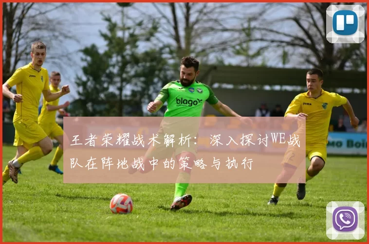 王者荣耀战术解析：深入探讨WE战队在阵地战中的策略与执行