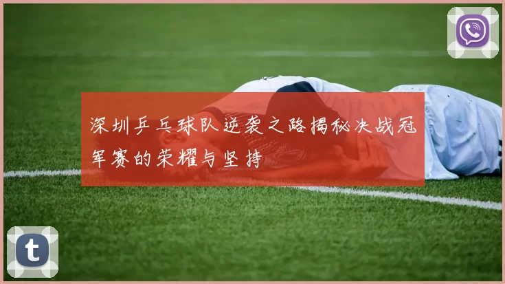 深圳乒乓球队逆袭之路揭秘决战冠军赛的荣耀与坚持