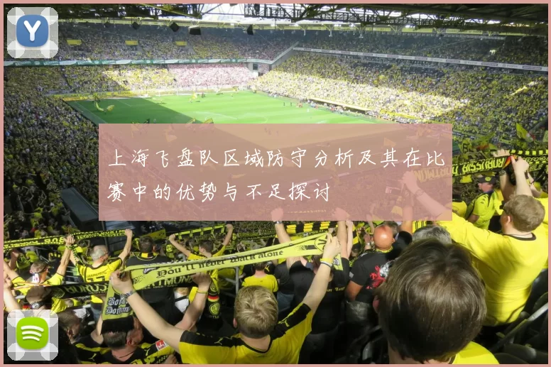 上海飞盘队区域防守分析及其在比赛中的优势与不足探讨