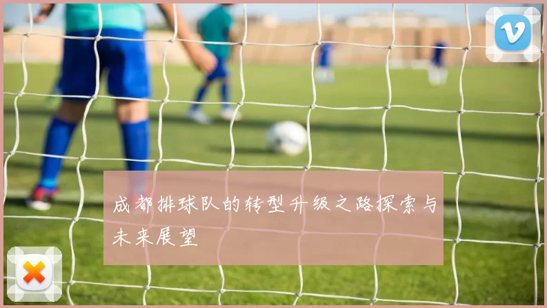 成都排球队的转型升级之路探索与未来展望