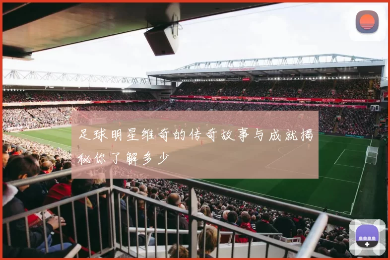 足球明星维奇的传奇故事与成就揭秘你了解多少