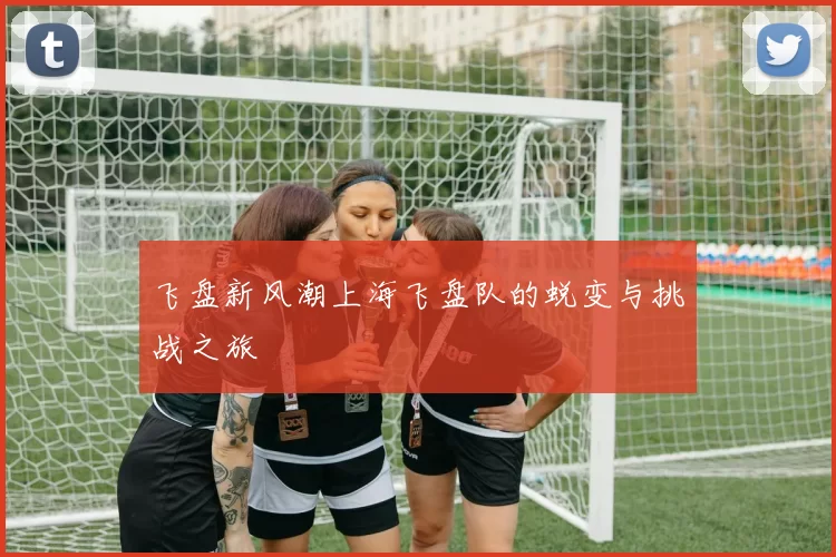 飞盘新风潮上海飞盘队的蜕变与挑战之旅