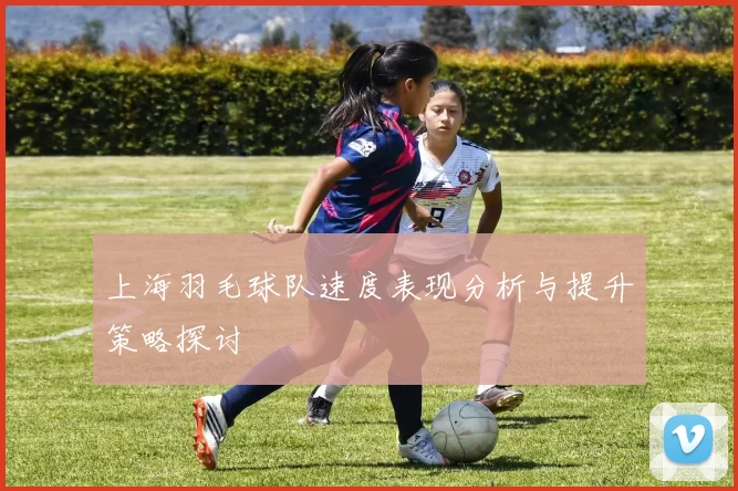 上海羽毛球队速度表现分析与提升策略探讨