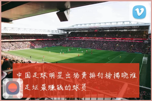 中国足球明星出场费排行榜揭晓谁是足坛最赚钱的球员