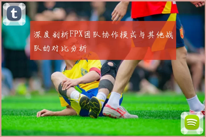 深度剖析FPX团队协作模式与其他战队的对比分析