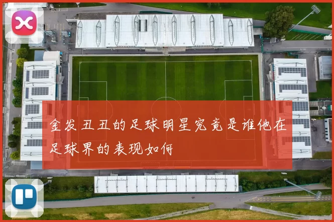 金发丑丑的足球明星究竟是谁他在足球界的表现如何