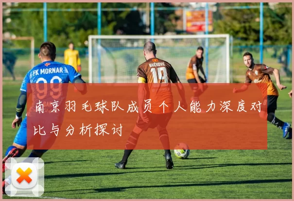 南京羽毛球队成员个人能力深度对比与分析探讨