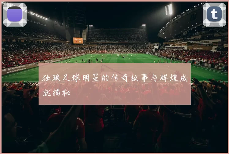 独狼足球明星的传奇故事与辉煌成就揭秘
