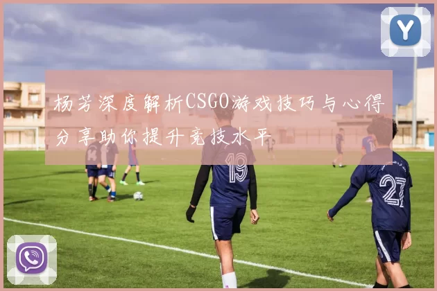 杨芳深度解析CSGO游戏技巧与心得分享助你提升竞技水平
