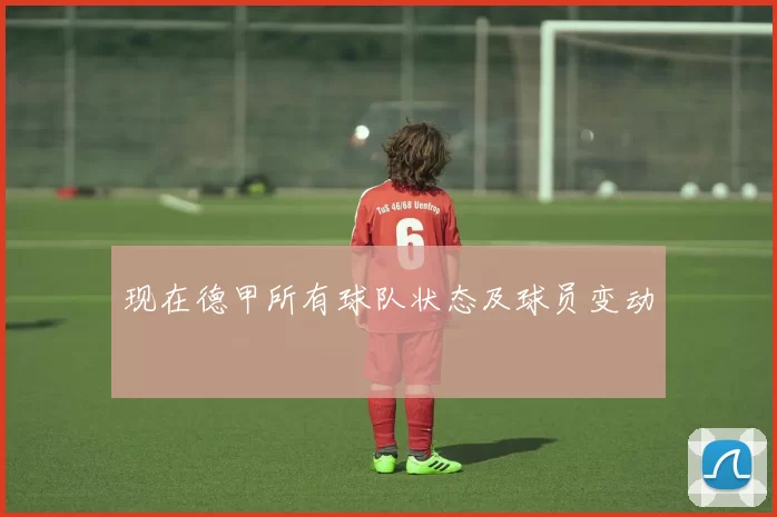 现在德甲所有球队状态及球员变动