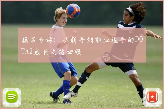 杨芳专访：从新手到职业选手的DOTA2成长之路回顾