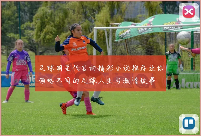 足球明星代言的精彩小说推荐让你领略不同的足球人生与激情故事