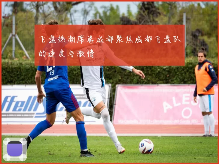 飞盘热潮席卷成都聚焦成都飞盘队的速度与激情
